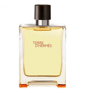 Hermes Terre D'Hermes Edt 100 ML